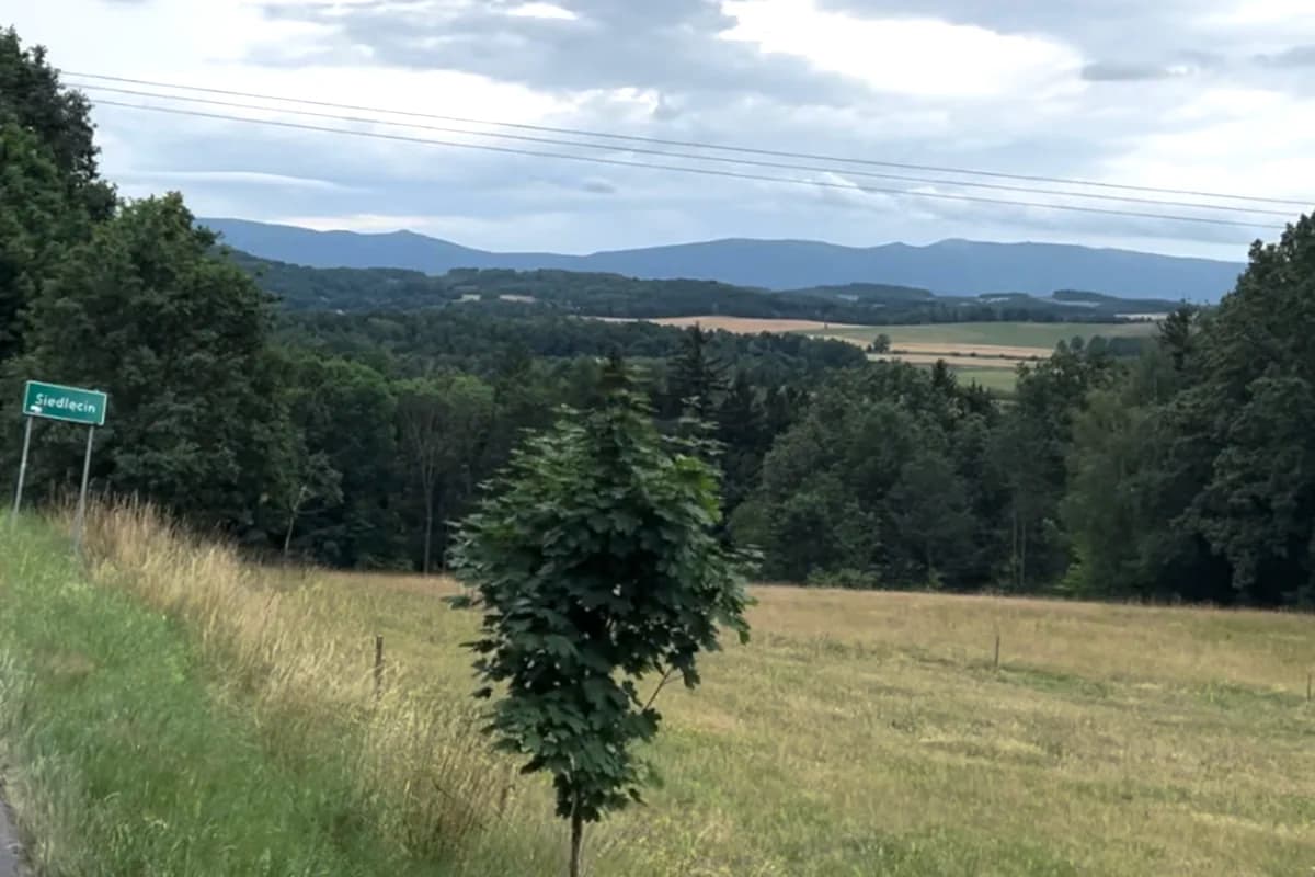 Widok na Karkonosze z drogi do Siedlęcina