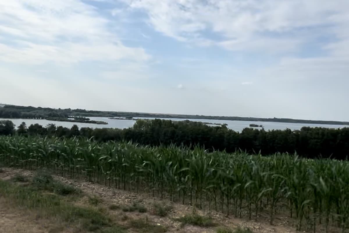 Widok na taflę Jeziora Mietkowskiego