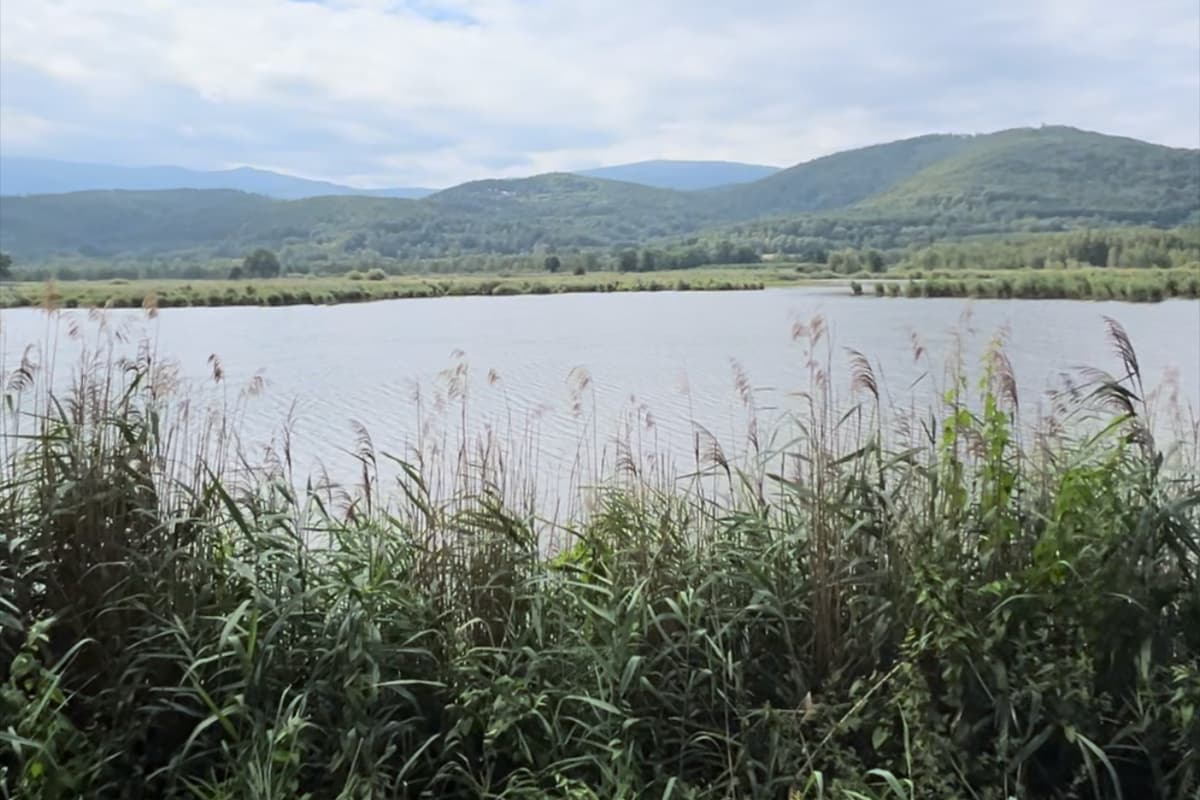 Zbiornik Sosnówka i panorama Karkonoszy z trasy rowerowej