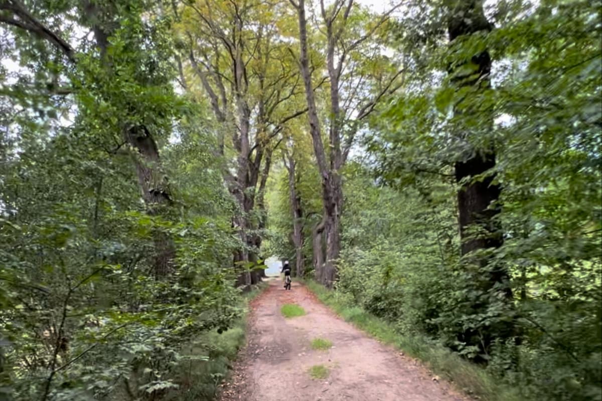 Ścieżka wzdłuż jeziora