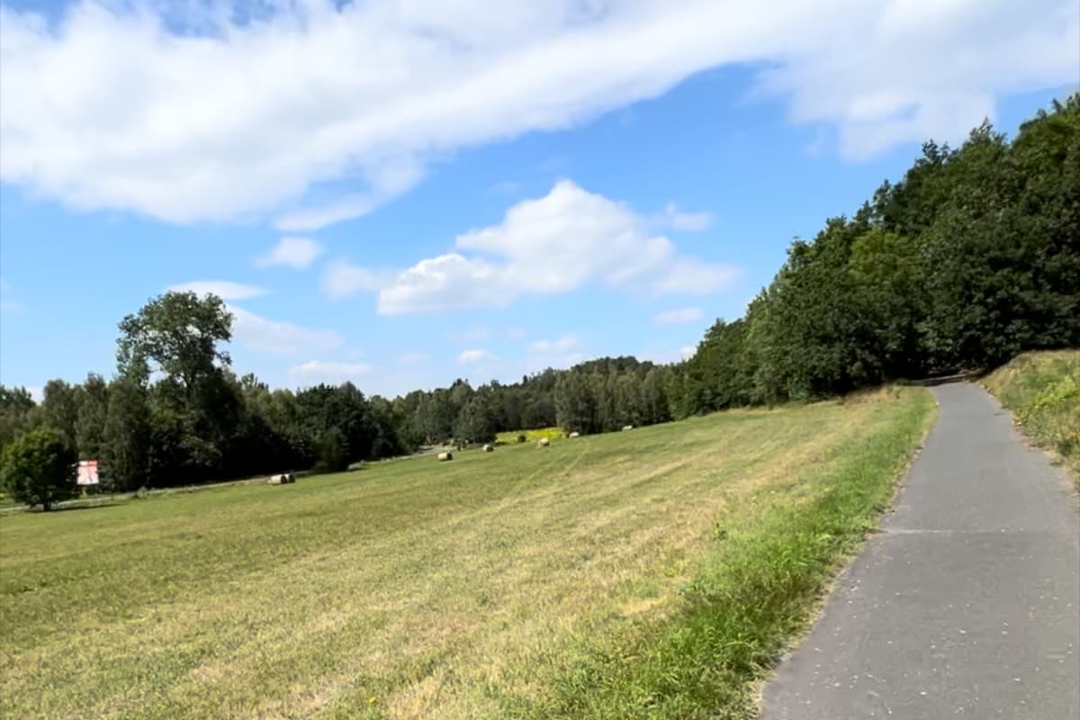 Droga asfaltowa w polu