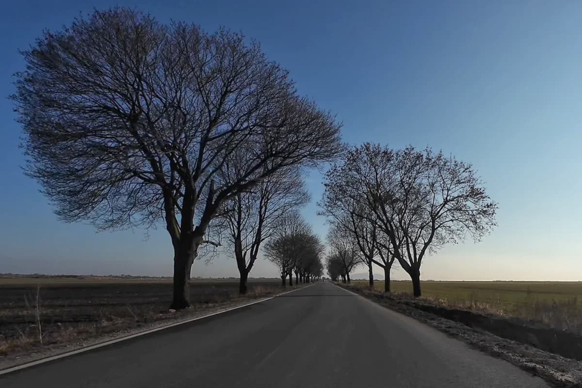 Odcinek Chmielów - Pełcznica