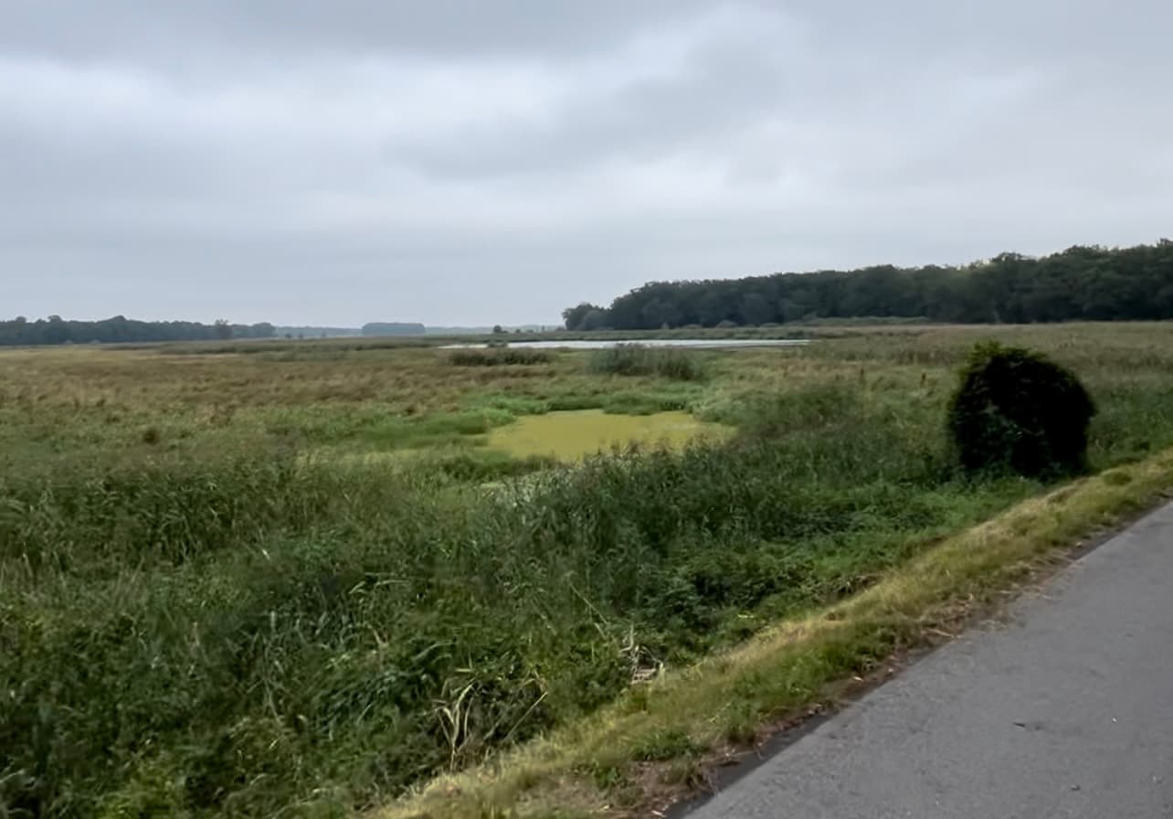 Stawy Doliny Baryczy