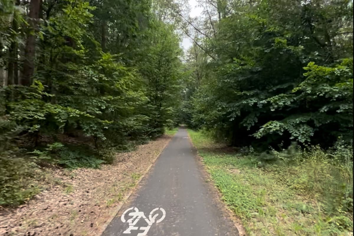 Lasek przed Prusicami